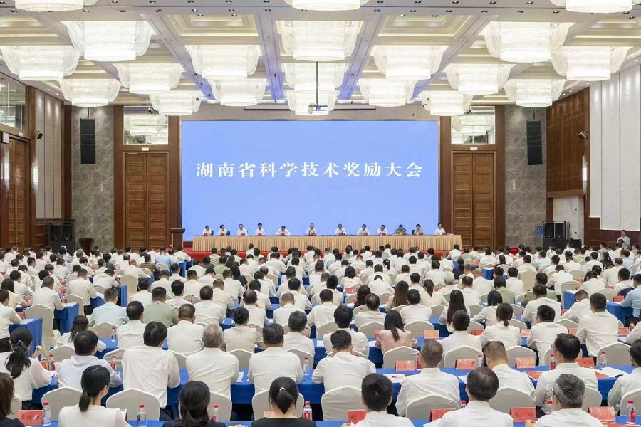 新闻资讯